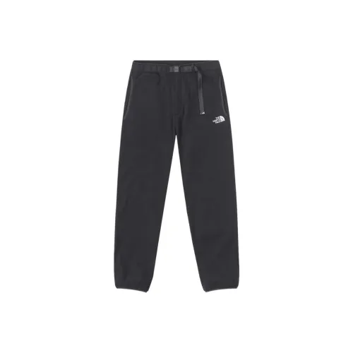 THE NORTH FACE Urban Exploration Повседневные брюки Мужские Темно-серый 05C