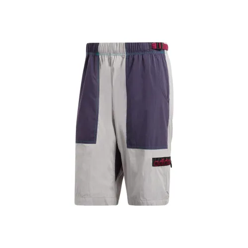 Adidas Originals ATRIC SHORT Серые Мужские Повседневные Шорты