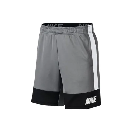 Nike Серые Мужские Спортивные Шорты