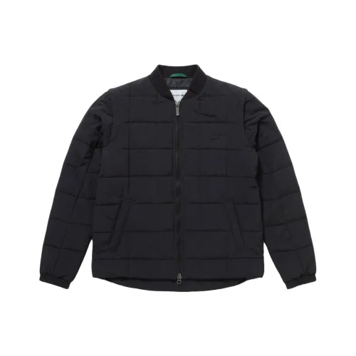 LACOSTE Хлопковый пуховик Мужской Черный