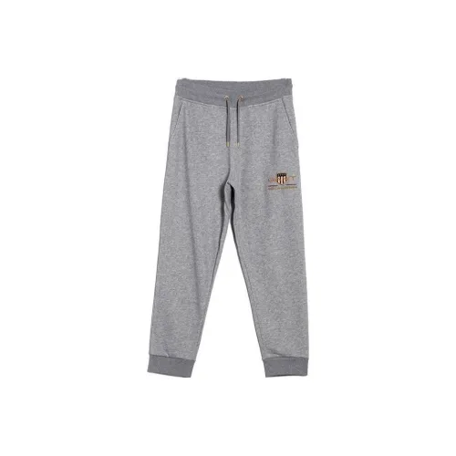 GANT Дымчатый Серый Мужские Повседневные Штаны