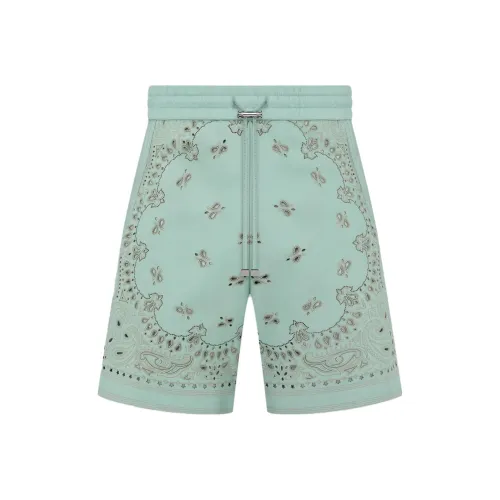 AMIRI Мятные Мужские Повседневные Шорты