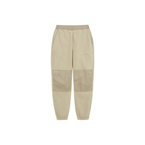 THE NORTH FACE Повседневные брюки Мужские Бежевые