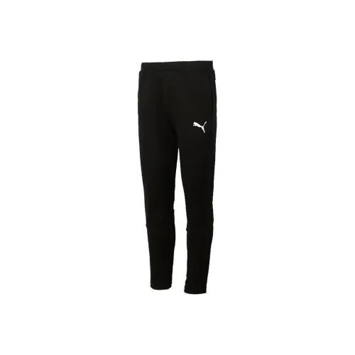 PUMA Мужские спортивные брюки черного цвета