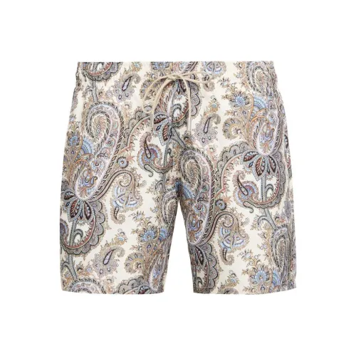 ETRO Многоцветные Мужские Плавательные Шорты