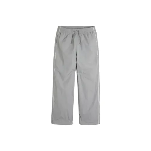 Hollister Повседневные брюки Мужские Серые