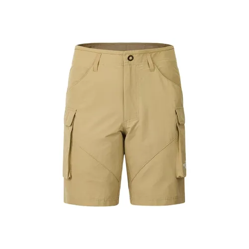 THE NORTH FACE Urban Exploration Шорты карго Мужской Камень Коричневый
