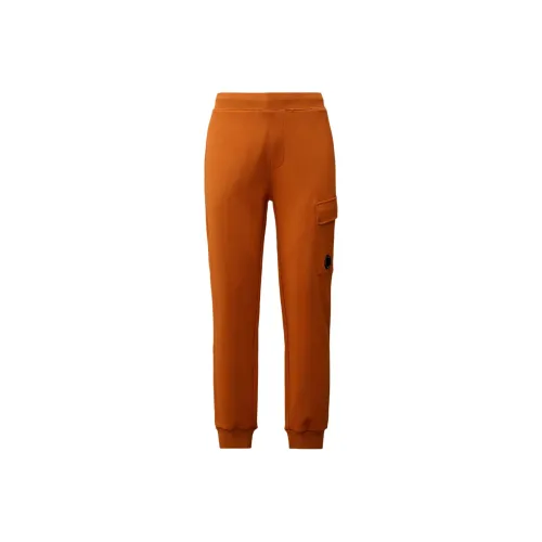 C.P.Company FW24 Повседневные брюки Мужской Mumbai Коричневый