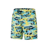 Желтый/синий