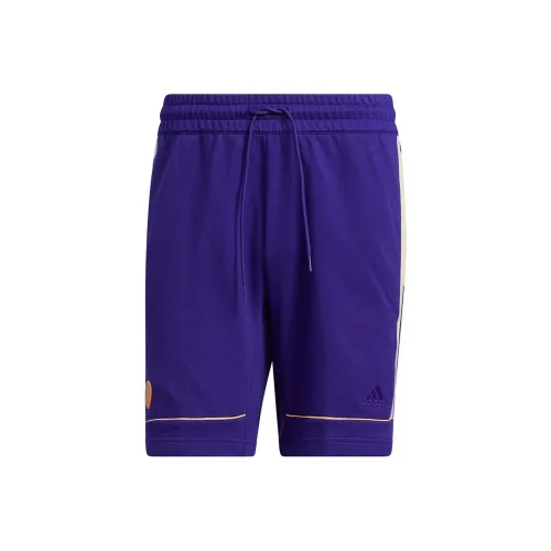 Adidas синие фиолетовые мужские спортивные шорты