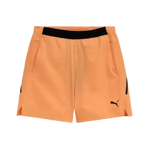 PUMA Повседневные шорты Унисекс Clementine Цвет