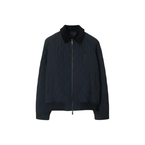 Burberry Хлопковый пуховик Мужской Синий