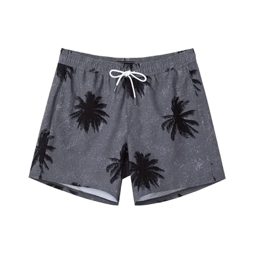 SURFCUZ Пляжные шорты Мужские Серые