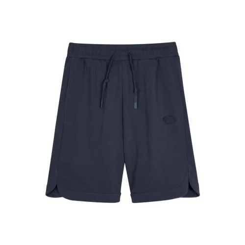 Skechers SUNSPEL Повседневные шорты Мужской Odyssey серый