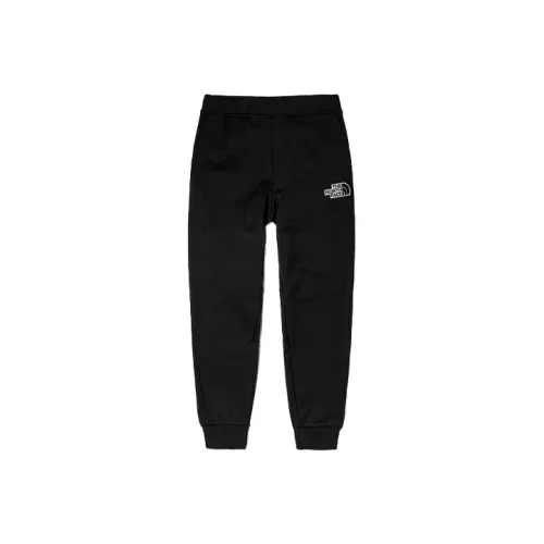 The North Face Мужские спортивные брюки черного цвета