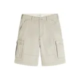 Верблюжий цвет