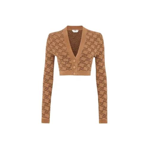 FENDI FW21 Трикотаж Женский Коричневый