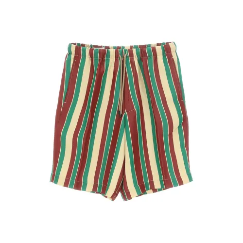 DRIES VAN NOTEN Многоцветные Мужские Повседневные Шорты