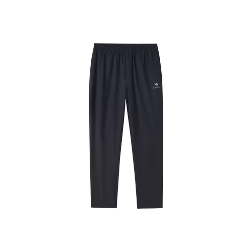 CAMEL Гигроскопичность Быстросохнущий Эластичный трикотаж Легкий Прямой крой Повседневные брюки Мужской