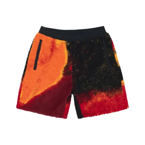 Stussy Унисекс Повседневные шорты