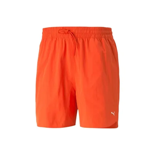 PUMA Повседневные шорты Мужские Теплые Земляные тона