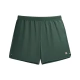 Платан зелёный