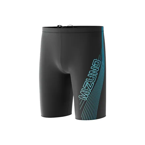 Mizuno Плавательные шорты Мужские Черные Синие