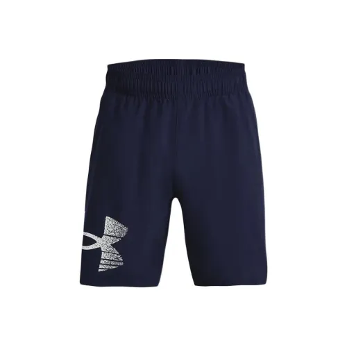 Under Armour Темно-синие мужские повседневные шорты