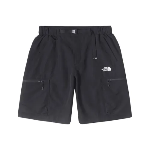 THE NORTH FACE Urban Exploration SS24 Повседневные шорты Мужские Космос Черный