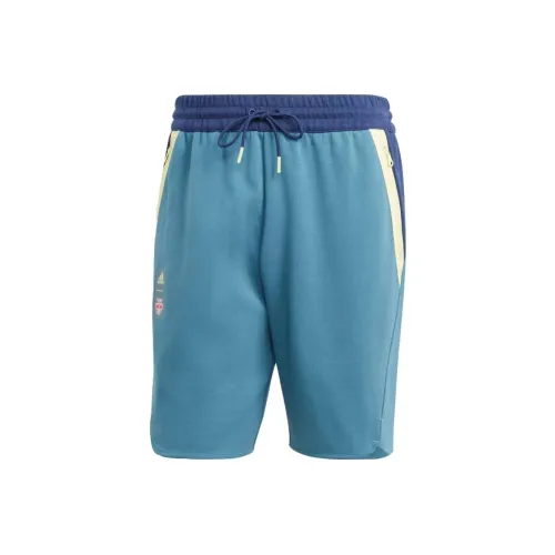 Adidas Z.N.E. Collection Синие Мужские Повседневные Шорты