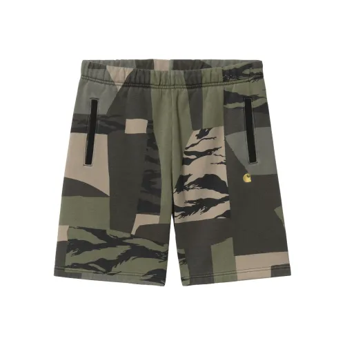 Carhartt WIP Зеленые Мужские Спортивные Шорты