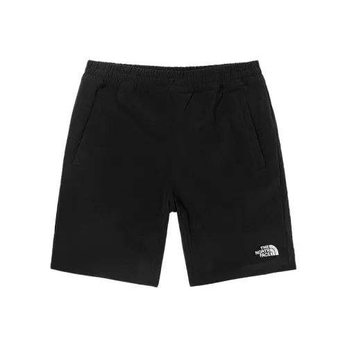 The North Face Мужские спортивные шорты черного цвета