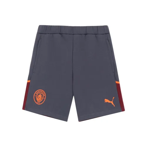 PUMA Borussia Mönchengladbach Серые Мужские Повседневные Шорты