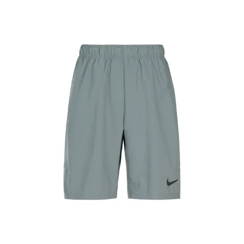 Nike Dri Fit Серый Мужские спортивные шорты