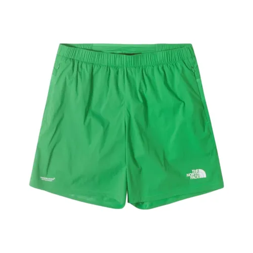 The North Face Повседневные шорты Унисекс Зеленый