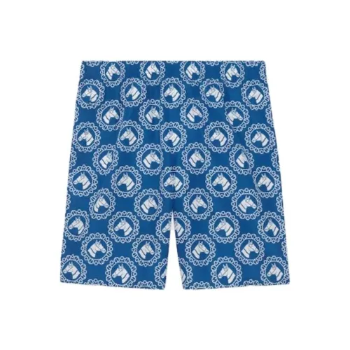 GUCCI Blue Men's Casual Shorts GUCCI Синий Мужские Повседневные Шорты