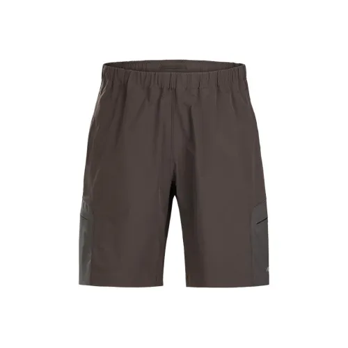 Arcteryx SYSTEM_A Collection Унисекс Повседневные шорты