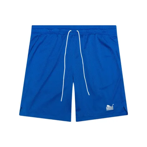 PUMA Essentials Blue Men's Casual Shorts PUMA Essentials Синий Мужские Повседневные Шорты