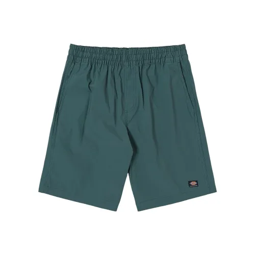 Dickies Повседневные шорты Мужские Бирюзовые