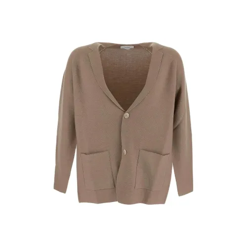 LARDINI Коричневый Мужской Трикотаж