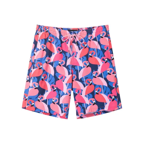 SURFCUZ Пляжные шорты Мужской Фламинго Остров