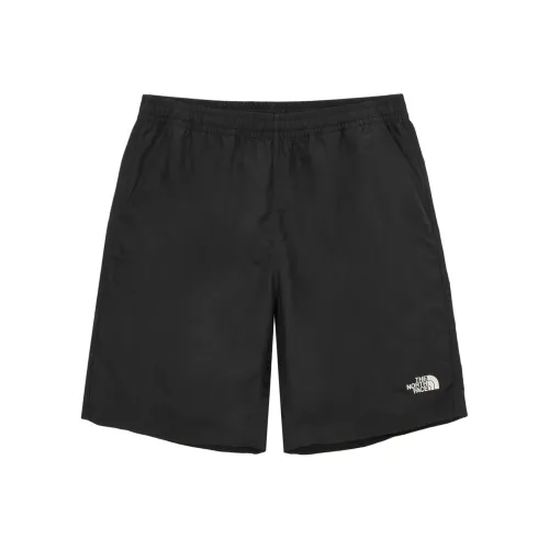 THE NORTH FACE Daily Essential Ex Шорты Повседневные шорты Мужской Черный
