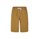 Верблюжий цвет