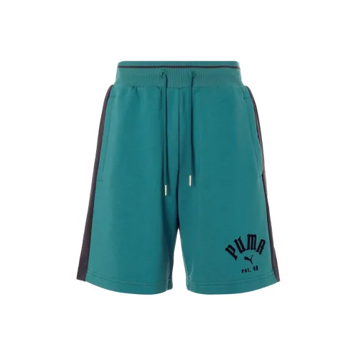 PUMA Зеленые Мужские Повседневные Шорты