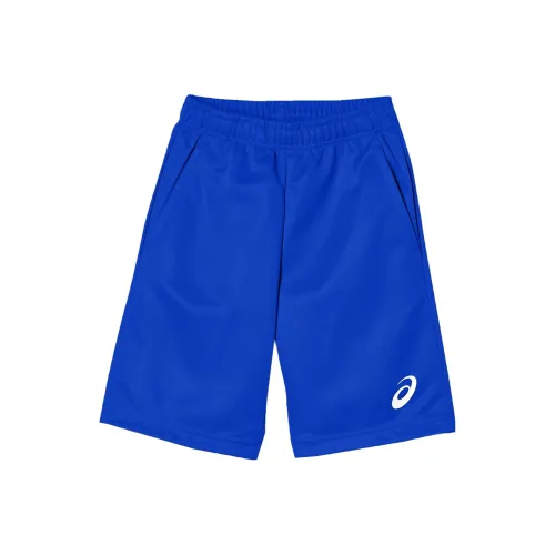 Asics FW23 Повседневные шорты Мужские Синие