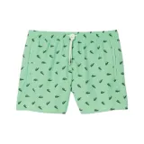 Зелёный/Белый