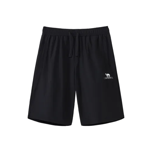 CAMEL Мужские Повседневные Шорты