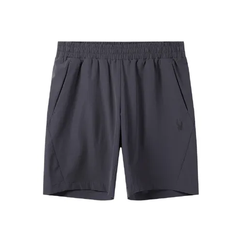 SPYDER Мужские спортивные шорты