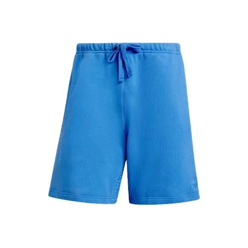 Adidas Originals WOOLRICH Синий Мужские спортивные шорты