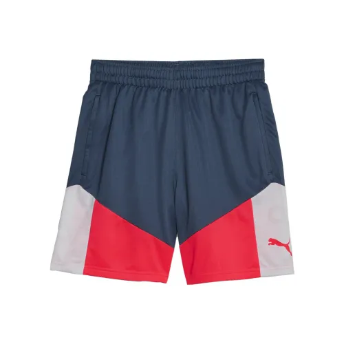 PUMA Белые и синие мужские повседневные шорты